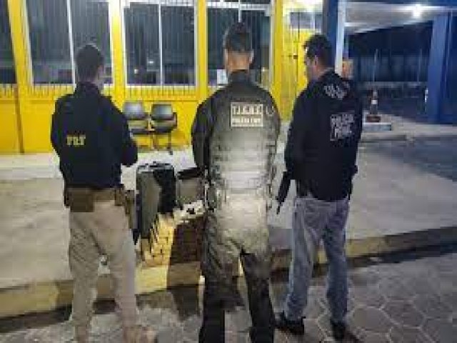 Polcia apreende mais de 80kg de droga durante abordagem a nibus em So Sebastio