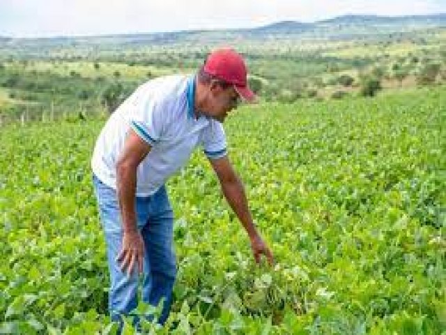 Prefeitura de Girau do Ponciano anuncia pagamento do Garantia Safra dos agricultores do municpio