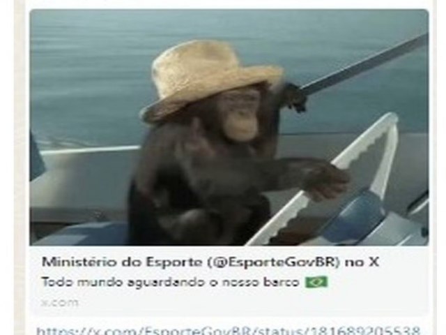 Ministrio faz postagem racista com macaco em aluso ao barco do Brasil na abertura das Olimpadas, tira do ar e lamenta 

