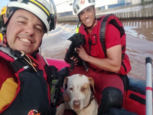 Bombeiros de Gois resgatam vtimas e cachorros em tragdia no Rio Grande do Sul