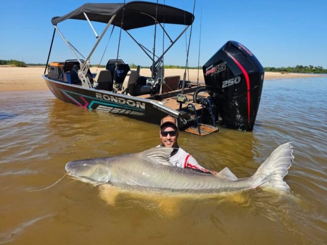 Grupo captura piraba de mais de 2 metros no rio Araguaia