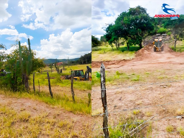 Morador denuncia mquina da prefeitura fazendo servio em terreno particular em Andorinha