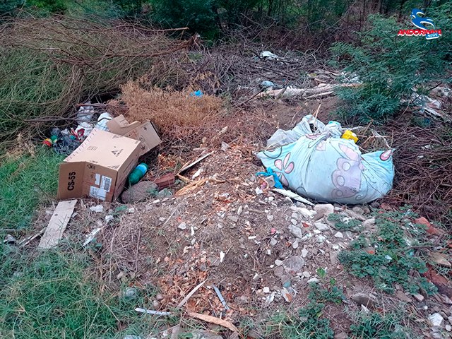 Denúncia: Moradores Preocupados com Descarte Inadequado de Lixo no Bairro Vila Peixe Exigem Providências da Prefeitura