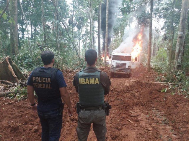 PF realiza operao contra desmatamento ilegal, em Altamira/PA