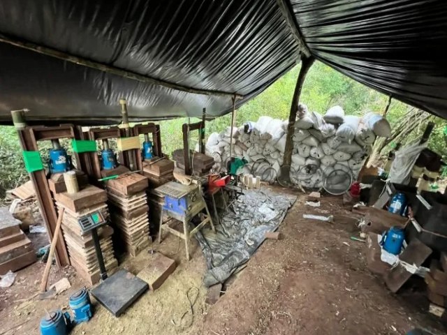 Senad encontra quase 9 toneladas de maconha em Amambay