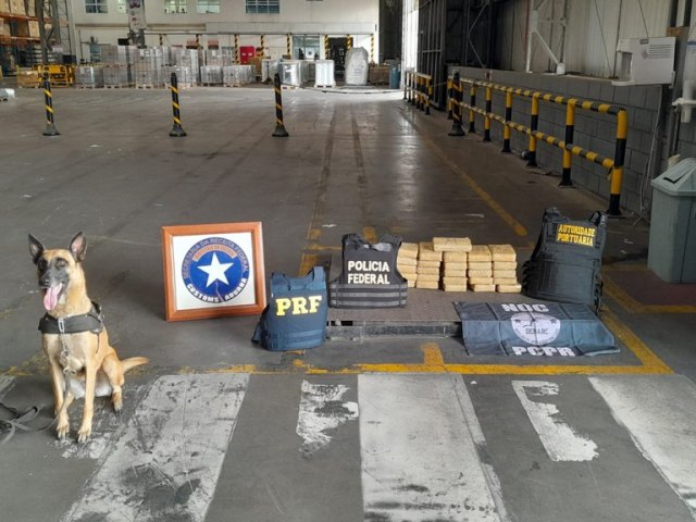 PF em ao conjunta, realiza priso de suspeito e apreenso de 30,5 kg de cocana no Porto de Paranagu/PR
