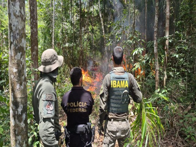 PF intensifica combate ao garimpo ilegal na Terra Indgena Yanomami
