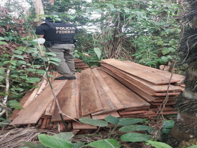 PF prende suspeitos por transporte ilegal de madeira no AM