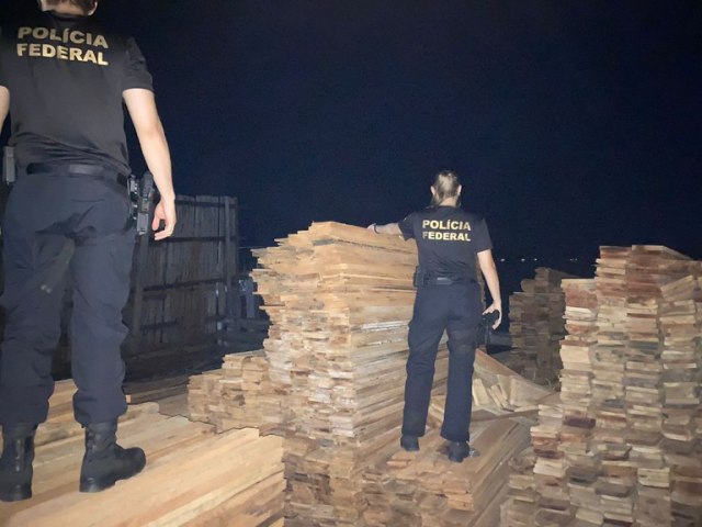 PF prende em flagrante madeireiro suspeito de subtrair madeira apreendida no PA