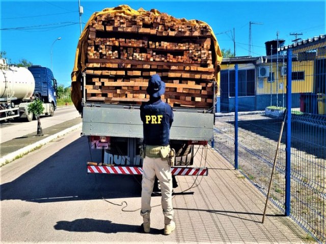 Em Senhor do Bonfim (BA), PRF apreende madeira nativa do Par transportada ilegalmente