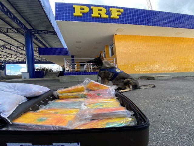 PRF apreende quase 14 quilos de cocana em nibus interestadual na cidade de Vitria da Conquista (BA)