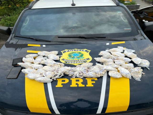 PRF apreende aproximadamente 2400 papelotes de droga na regio metropolitana do Rio