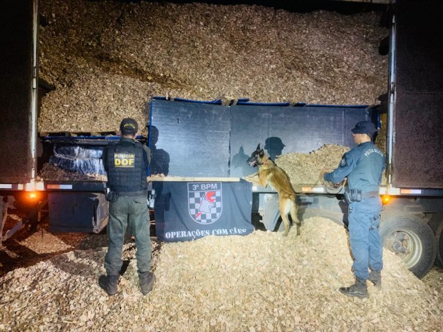 DOF apreende mais de cinco toneladas de drogas em uma carga de cavaco de madeira