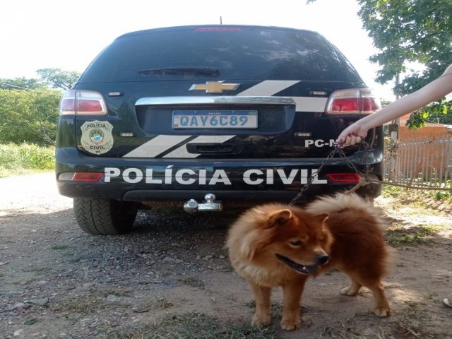 Polcia Civil em parceria com uma organizao no governamental resgata animal vtima de maus-tratos em Corumb