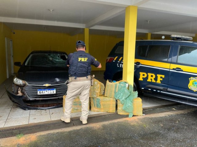 150 kg de maconha so encontrados em carro acidentado na BR-101 em Araquari