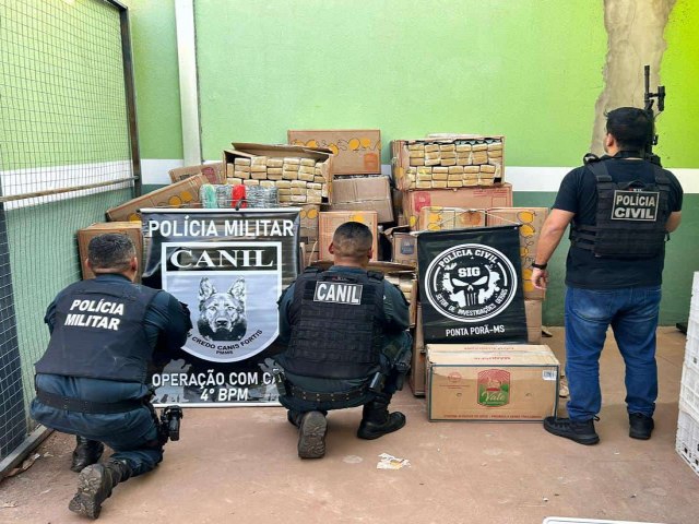 Operao conjunta entre Polcia Civil e Polcia Militar culmina em apreenso de quase duas toneladas de maconha em Ponta Por