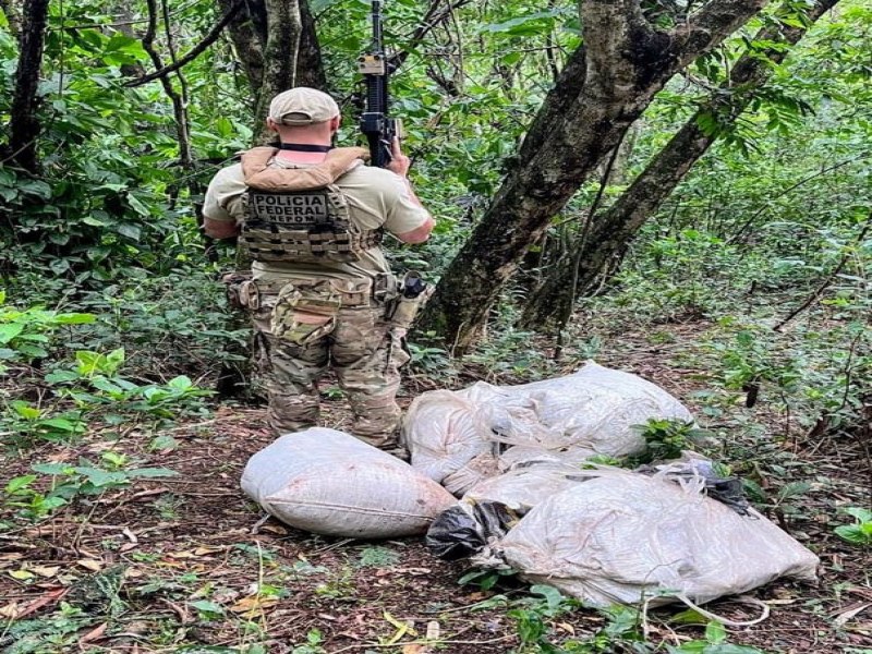 PF e BPFRON apreendem cerca de 80 kg de maconha em Foz do Iguau