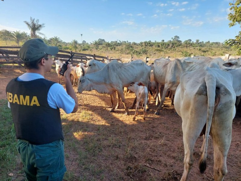 PF e MPF deflagram operao contra falsidade ideolgica e lavagem de capitais