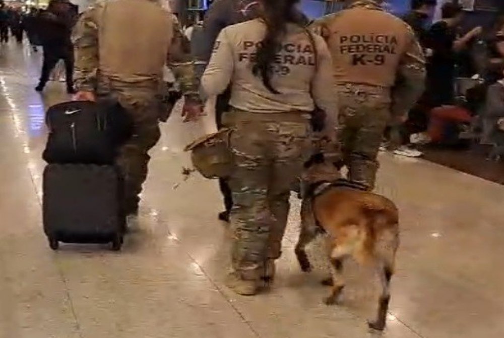 PF prende surinam�s por tr�fico internacional de drogas no Aeroporto de Guarulhos