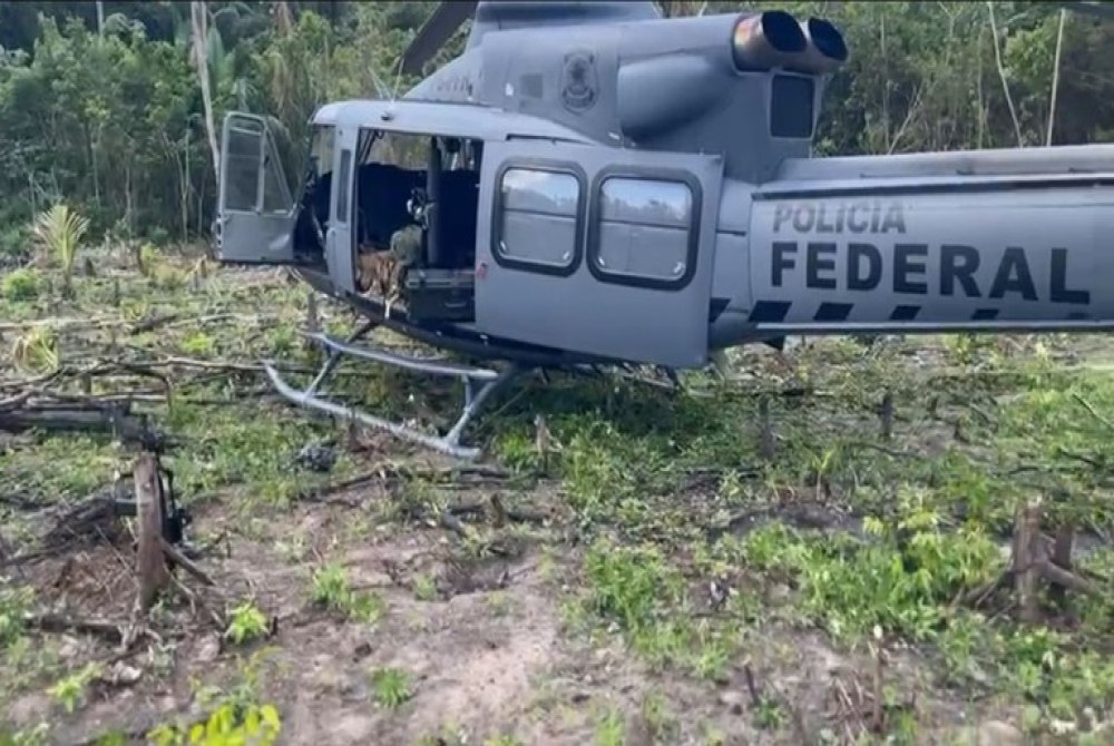 PF deflagra opera��o para combater o cultivo ilegal de maconha no interior do Amazonas