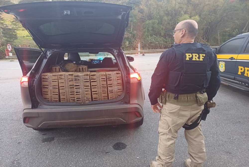 Em Tr�s Rios/RJ, PRF resgata aves silvestres e apreende droga na BR-040
