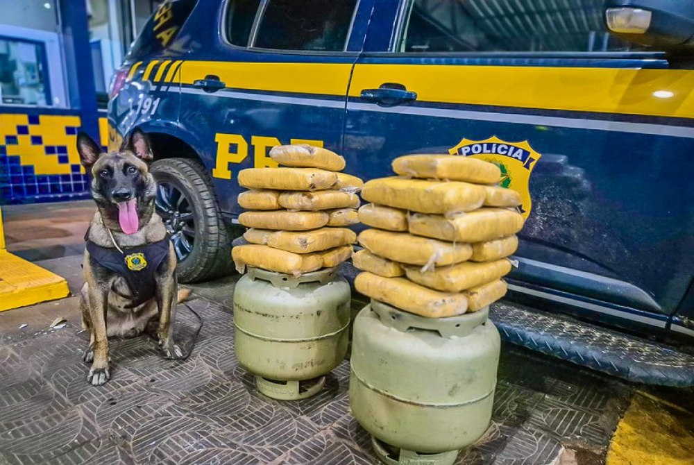 PRF apreende 23 kg de skunk escondidos em botij�es de g�s durante fiscaliza��o em Rondon�polis (MT)