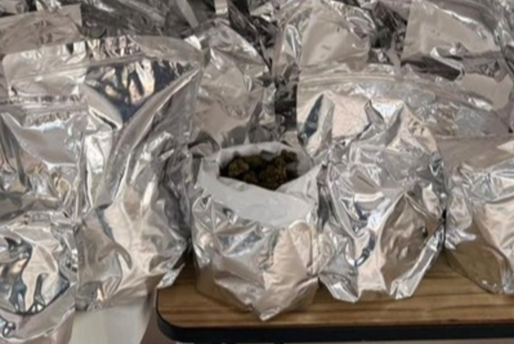 FICCO/Ilh�us, em a��o conjunta, apreende 21 kg de maconha