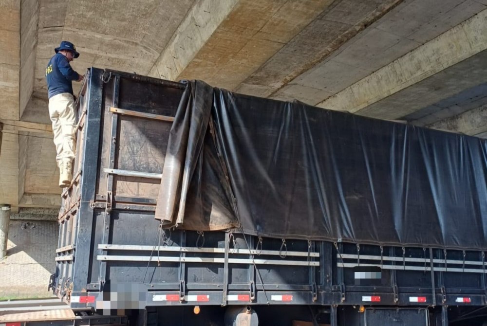 PRF apreende mais de 200 m� de madeira transportada ilegalmente na BR-222, no Cear�, e identifica Guias Florestais fraudadas