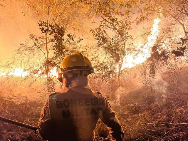 Cinco incndios florestais foram registrados durante o final de semana em Cruzeiro do Sul