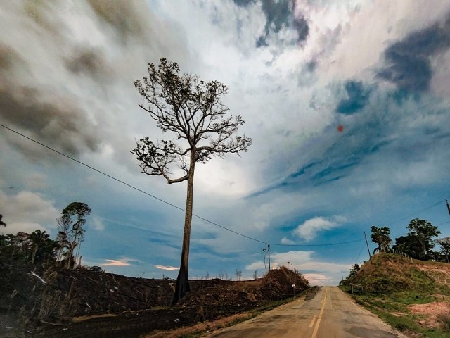 Acre tem reduo de quase 90% nos focos de queimadas em novembro