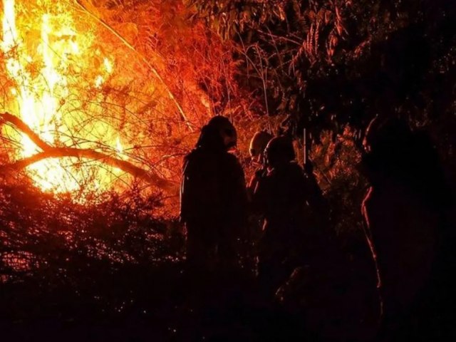 Pelo 2 ms seguido, rea queimada no AC tem reduo em dezembro e fecha o ano em queda, diz Mapbiomas