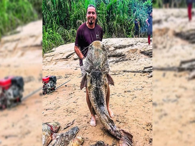 No Acre, cacique pesca Ja gigante de quase 80 kg e alimenta aldeia por cerca de dois dias