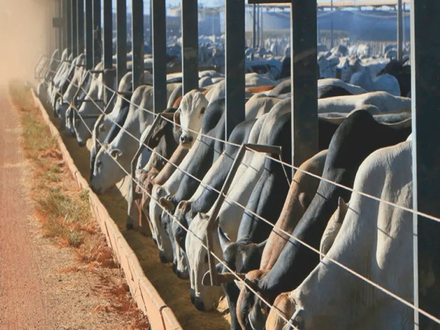 Produtores da bovinocultura de carne do Acre podero renegociar o crdito rural