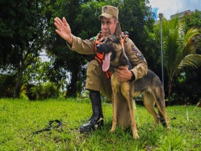 Acre envia bombeiros, ces farejadores e recursos para apoio humanitrio no Rio Grande do Sul