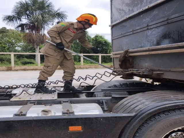 Corpo de Bombeiros resgatam bicho-preguia em carreta em Cruzeiro do Sul