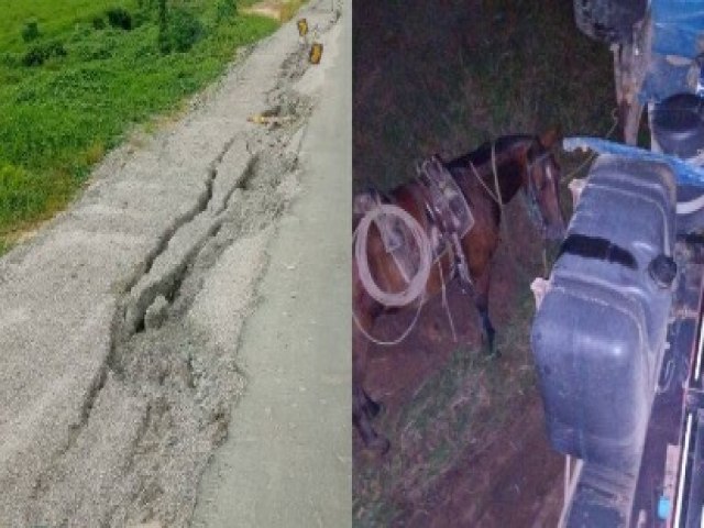 Caminho carregado de gado sai da pista e tomba devido a buracos na BR-364