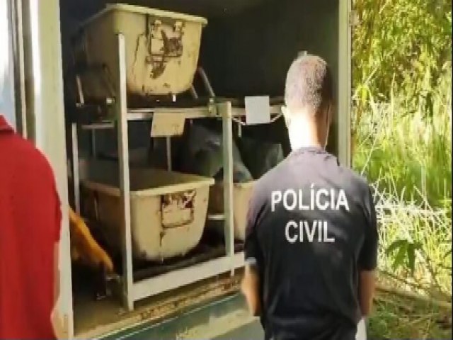 Perna encontrada na beira do rio  de possvel vtima do tribunal do crime