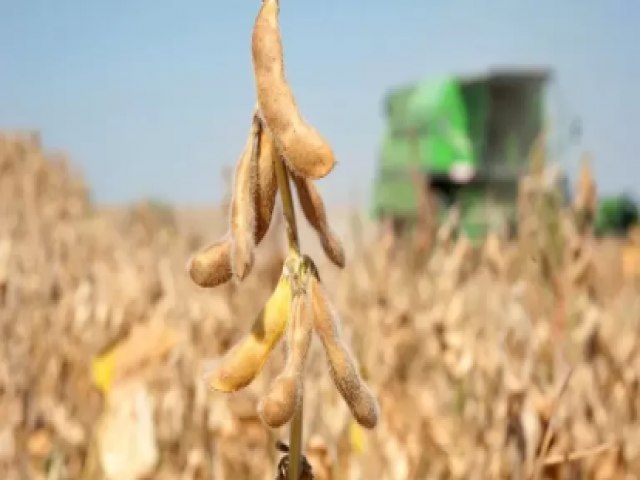 Cerca de 80% do agro deve ser afetado pela seca no Acre