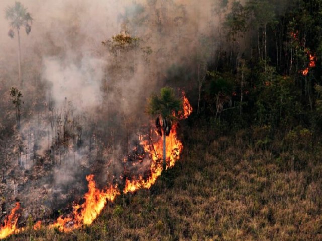 Queimadas podem ser uma das causas do apago no Acre e RO