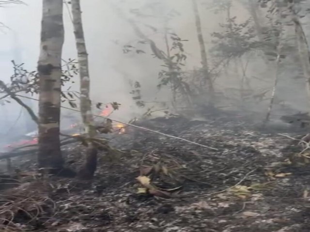 Incndio de grandes propores atinge Parque Nacional da Serra do Divisor na regio do Juru