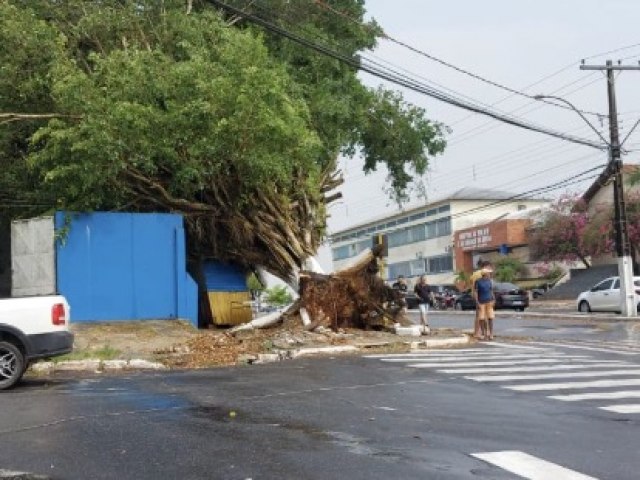 VENTANIA CAUSA ESTRAGOS EM CRUZEIRO DO SUL NESTA QUINTA-FEIRA