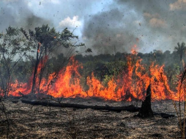 Acre  o 2 estado do Norte com maior nmero de queimadas nas ltimas 48 horas