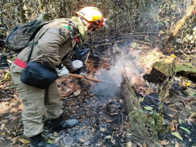 Bombeiros combatem novo incndio que devastou 110 hectares no Parque Nacional