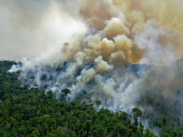 Acre registra mais de 400 focos de queimadas em apenas 24h e tem o 2 maior nmero do pas