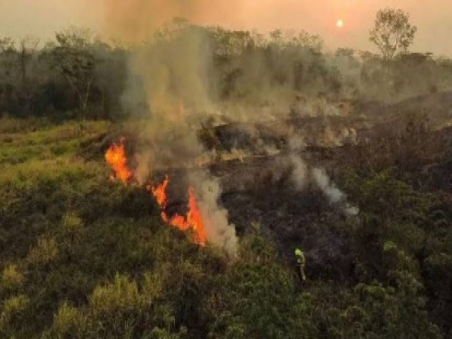 Acre registra mais de 450 focos de queimadas em 24 horas, aponta Inpe