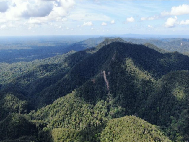 Serra do Divisor: um santu�rio no cora��o da floresta