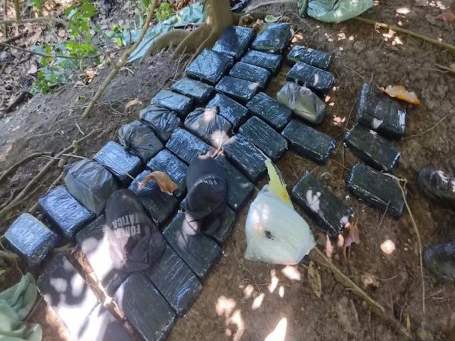 Polcia apreende cerca de 45 kg de droga escondida  em mata na Zona Norte de Teresina