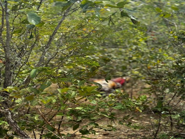 Corpo em decomposio com marca de tiro  encontrado por caador em Nazaria no Piau