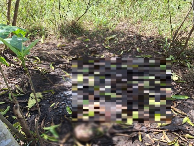 Moradores da zona Sudeste de Teresina encontram ossada humana em terreno baldio