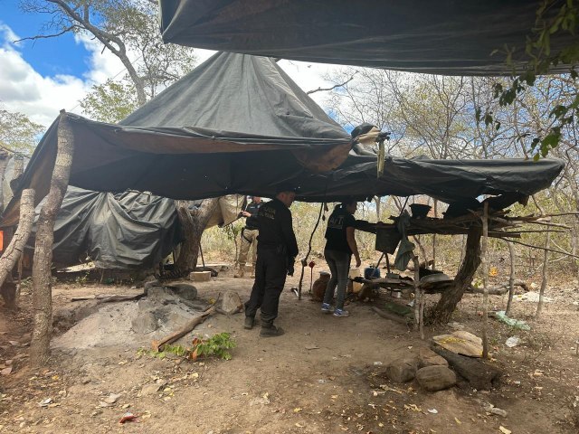 Cinco homens so resgatados em situao anlogas  escravido no Piau